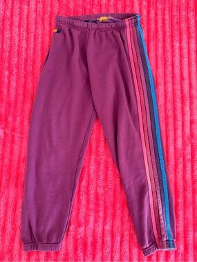 Aviator Nation Purple Track Joggers with Rainbow Side Stripes